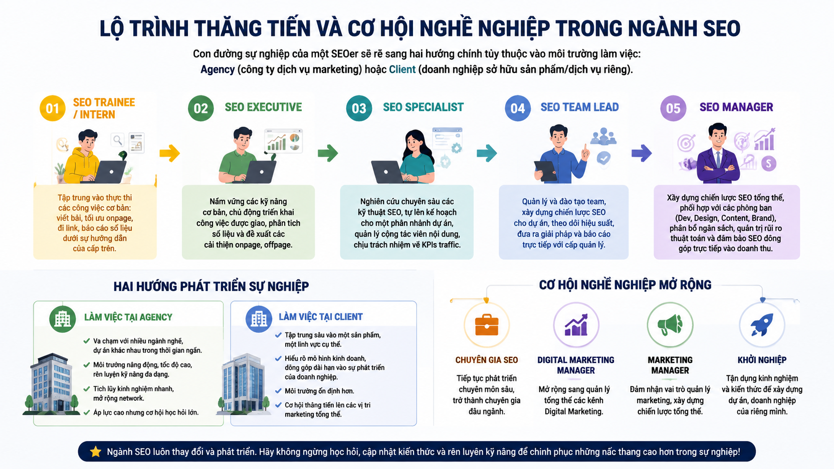 Mô hình cây phân nhánh thể hiện các nấc thang thăng tiến trong nghề SEO từ Junior đến Manager